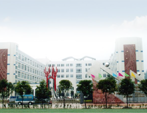 乐山外国语小学学校食堂午夜福利视频网站设备工程项目